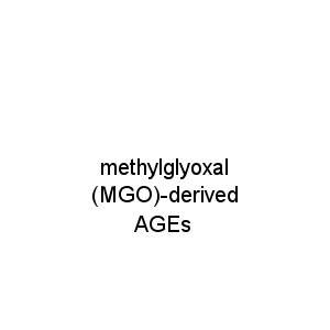 methylglyoxal (MGO)-derived AGEs